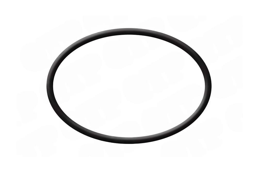 Motor O-ring Leyland