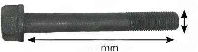Cylinderhuvudbult 135 - Kort