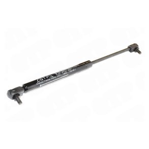 Gasd�mper Ford S.Q Bagrude