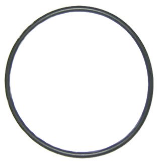 O-ring