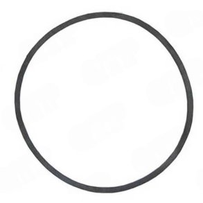 O-ring