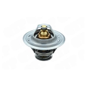 Termostat _580189