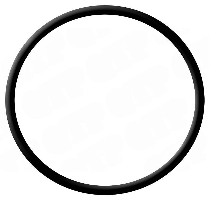 'O' RING