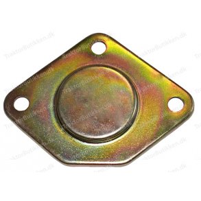 Servostyringspumpe, blndplade