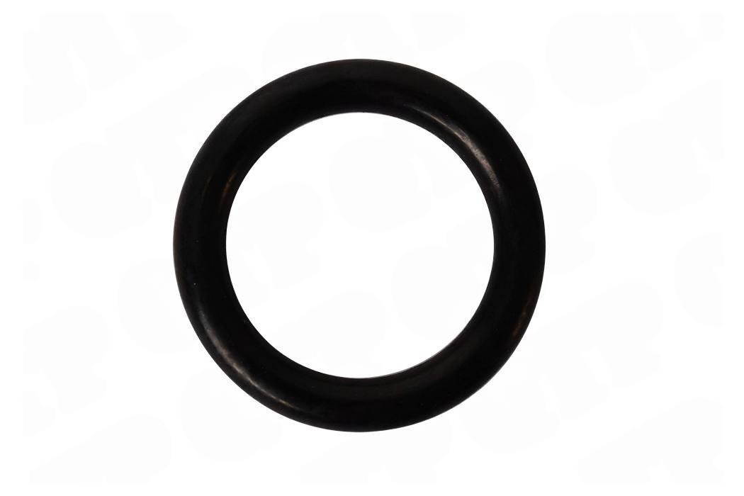 O-ring Vandpumpe Valmet Valtra