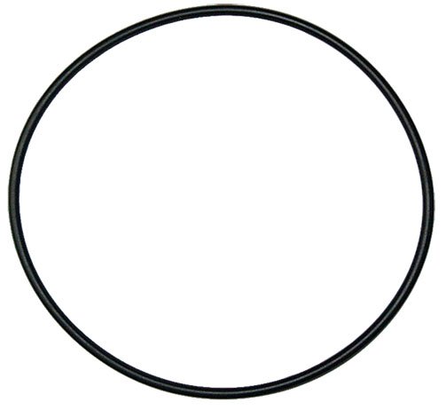 O-ring