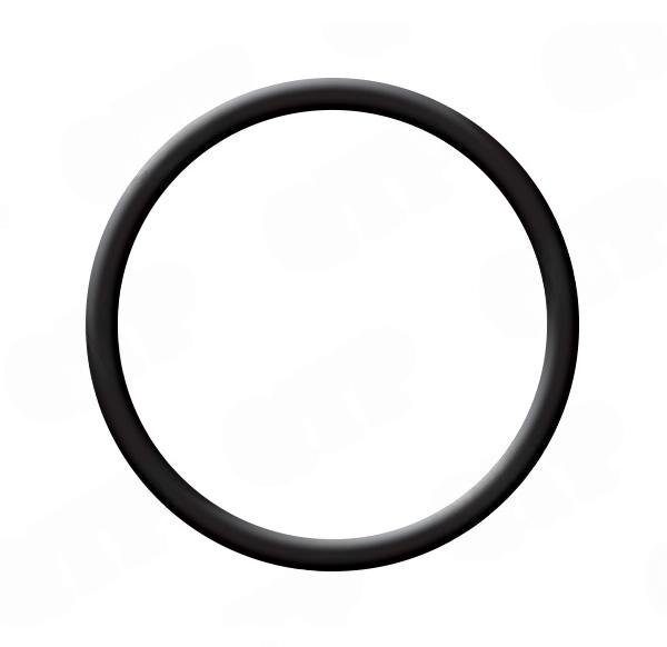 'O' RING
