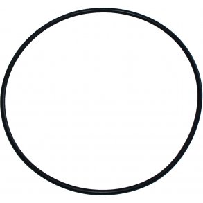 O-ring til inputhus 