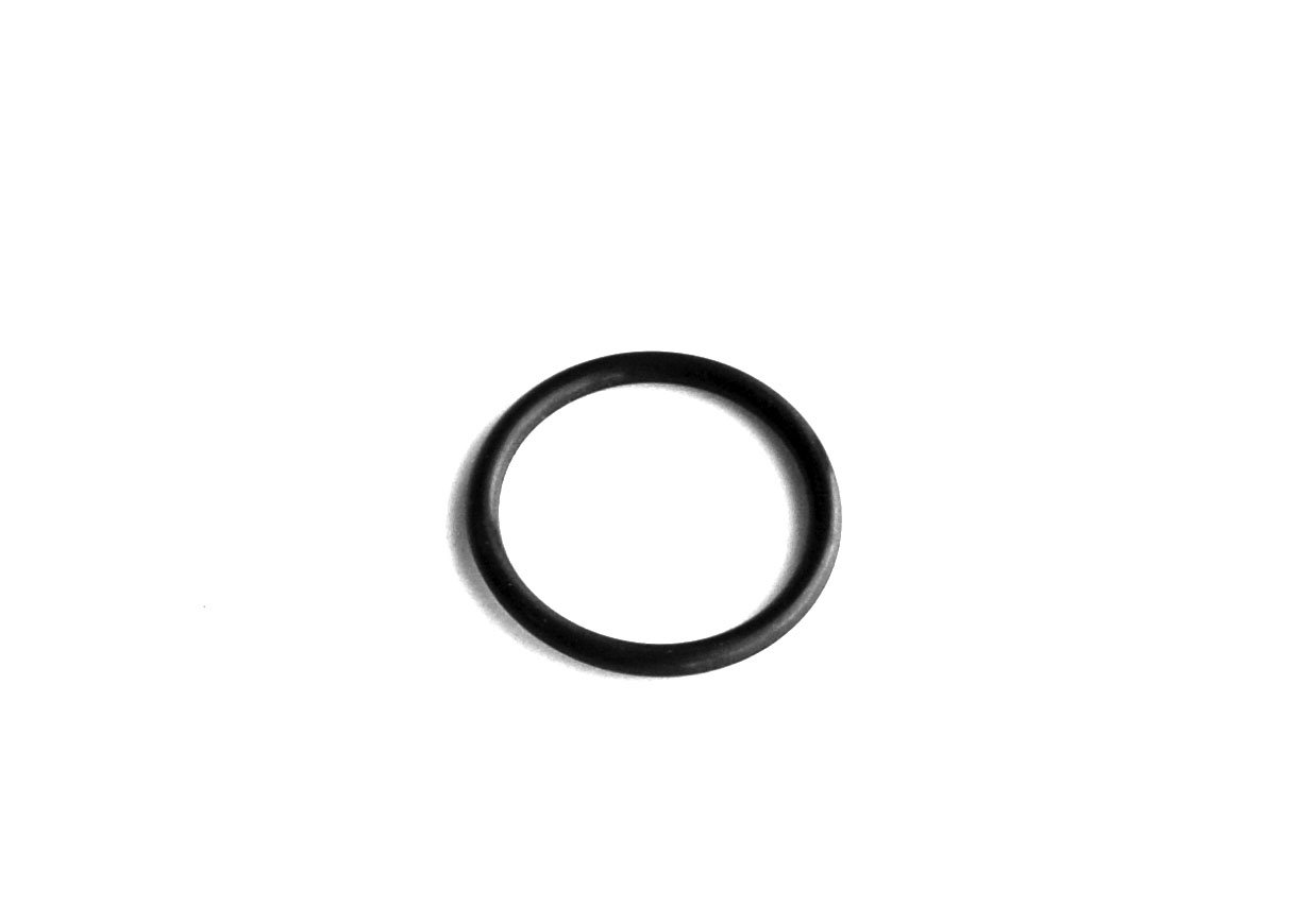 O-ring