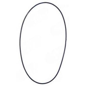 O-ring 300 4200 4300 18 Speed Shift