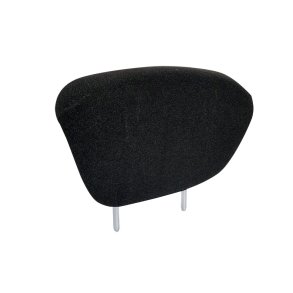 Ryggstdsforlnger (Grammer)