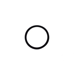 O-ring