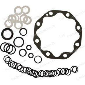 Hydraulikpumpe O-ring kit