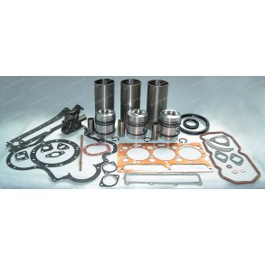 Motor renoveringskit