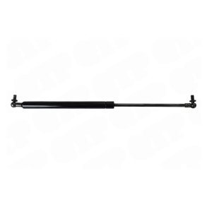 Gas Strut Door