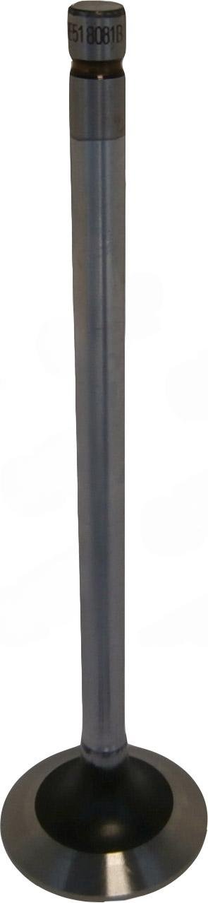 Avgasventil John Deere Powertech 6020 6320