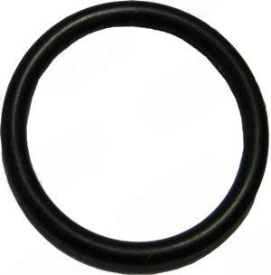 O-ring Ford Dual Power