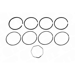 Stempelrings�t | TEF 20 20D | 61848 | S.42136 S42136 30/34-2 VPB4302 108643 894900M91 108644 