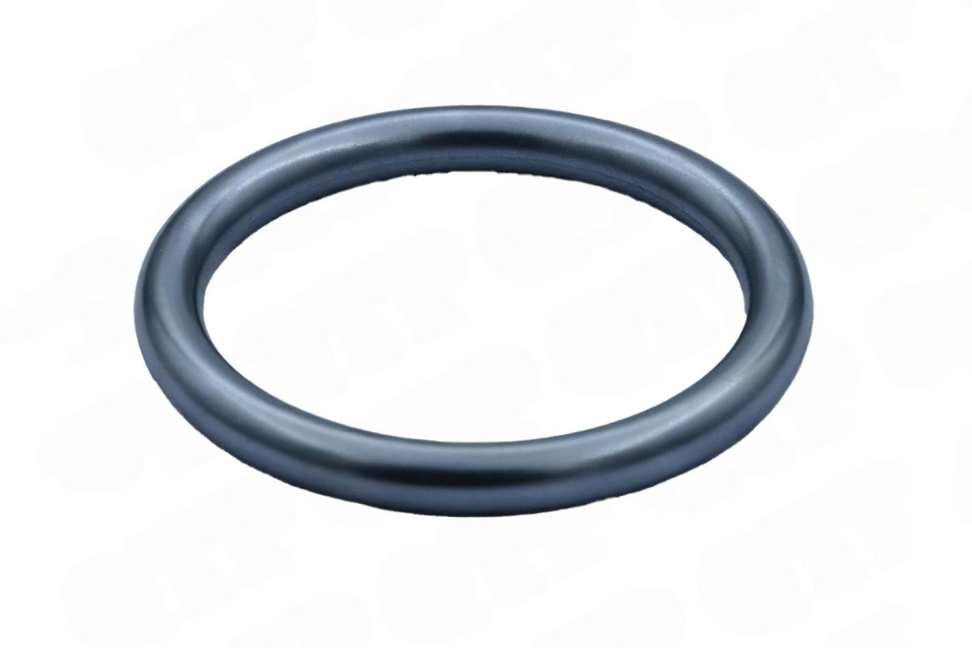 Injektor O-ring
