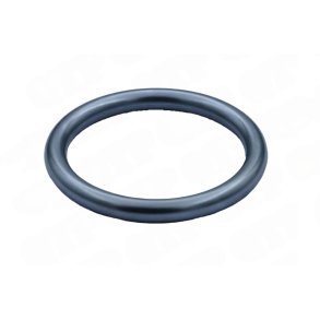 Injektor O-ring