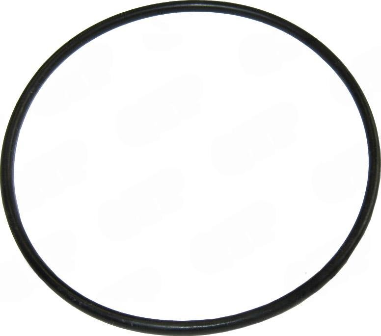 O-ring
