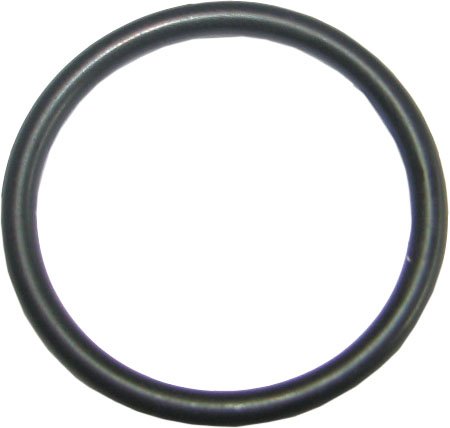 O-ring