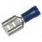 Spadeterminal - Bl� Medium