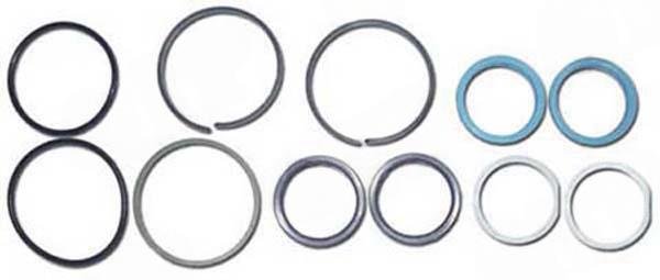 Servostyring stempelpakning s�t Ford 40 Carraro