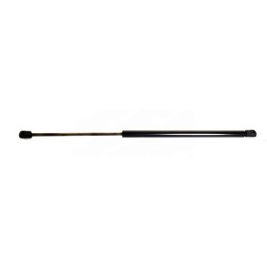 Gasd�mper Bagrude Case JXU Ford New