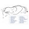 Kabelh�rva 35 135 Generator Typ