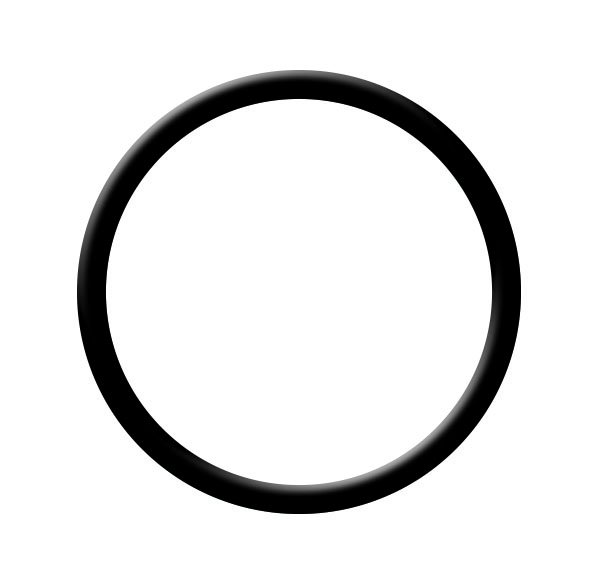 O-ring