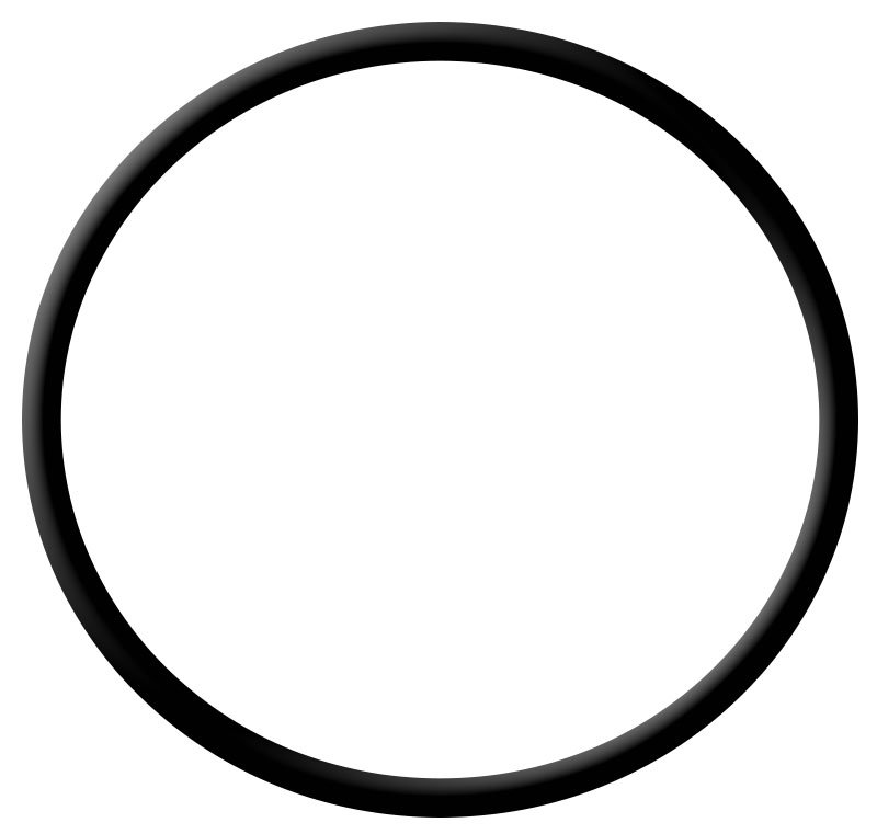 O-ring