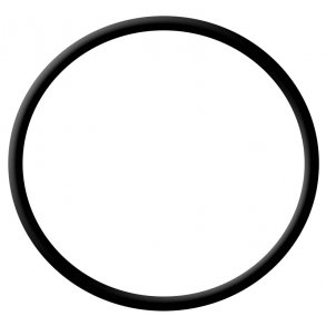 O-ring
