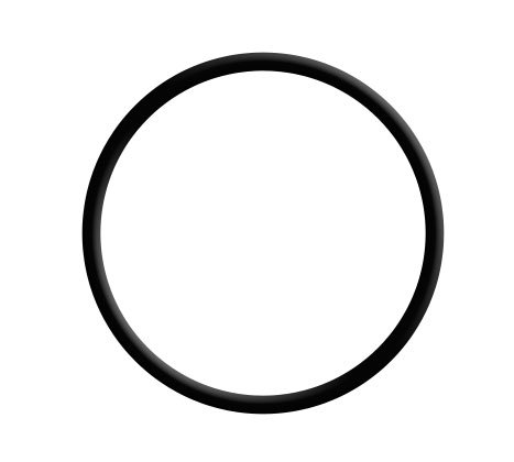 O-ring