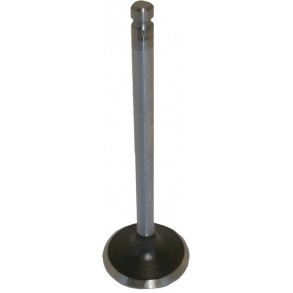 Ventil til udstdning