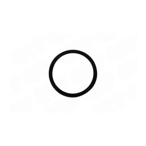 O-ring