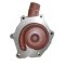 Vandpumpe | David Brown 1690 | 3838 | S.57761, S57761, 20/130-184, K207578, K262961