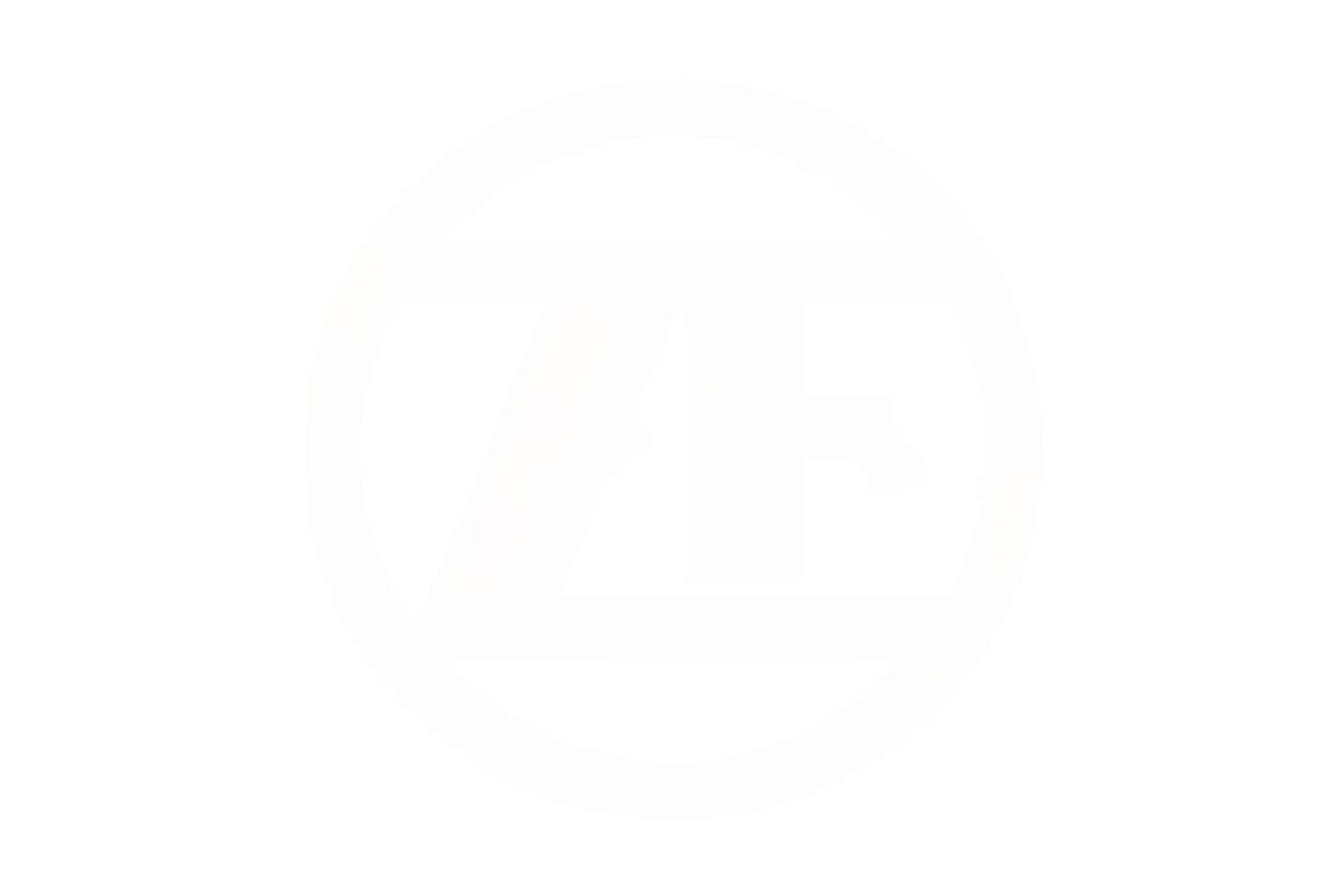 ZF 0730.104.886 - Skive