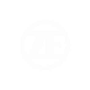 ZF 0730.108.451 - Skive