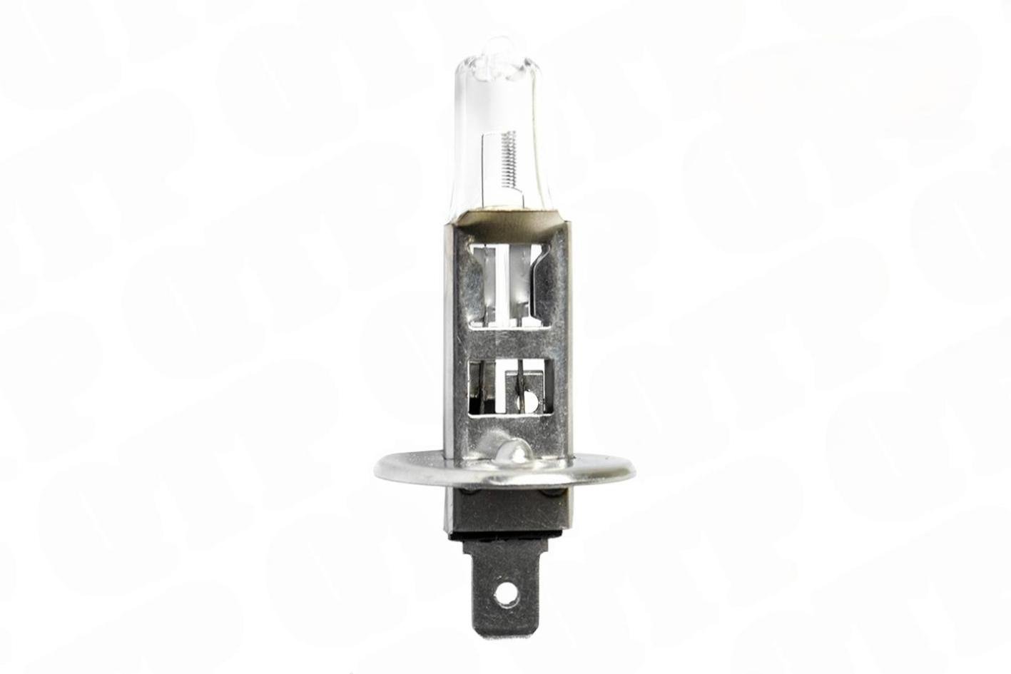 P�re 12v 55w H1 Halogen | 3102 |