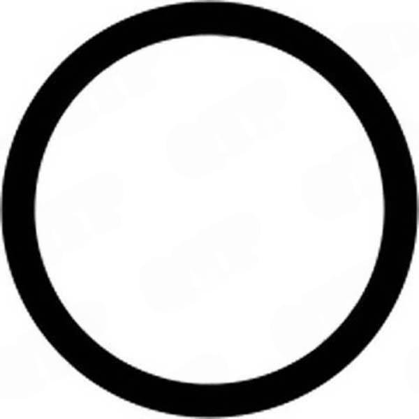 Motoroljekylare Element O-ring 6.354.4