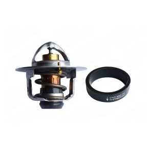 Termostatd�ksel maxxum