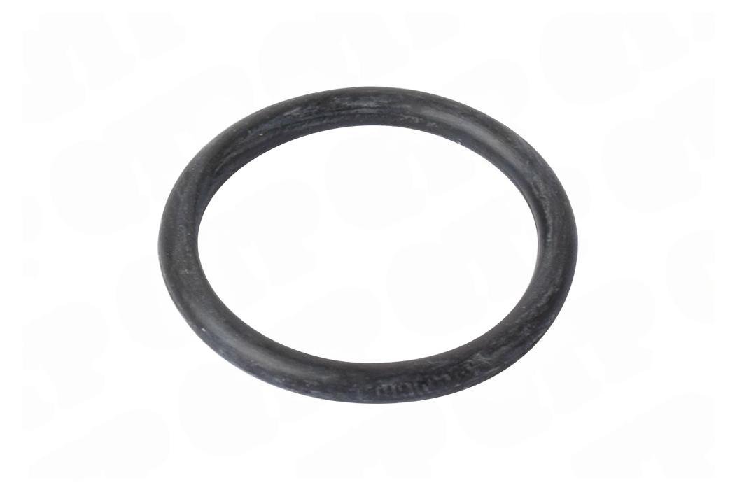 O-ring