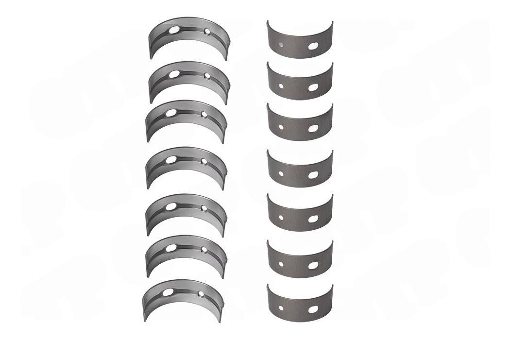 S�t med hovedlejer STD Massey Ferguson 5465, 6465, 6475, 6480, 7465, 7475, 7480 T6.60 Motor