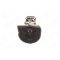 V�xell�da 8-v�xlad