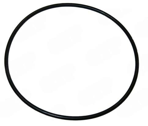 O-ring f�r 41258